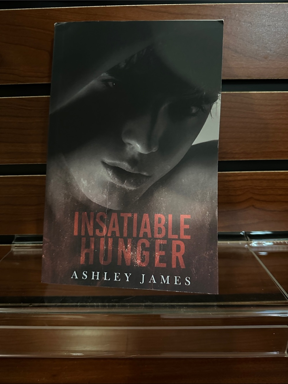 Ashley James Insatiable Hunger Paperback - Black and Red Cover